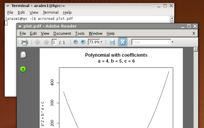 Remote acroread displayed on local Linux machine