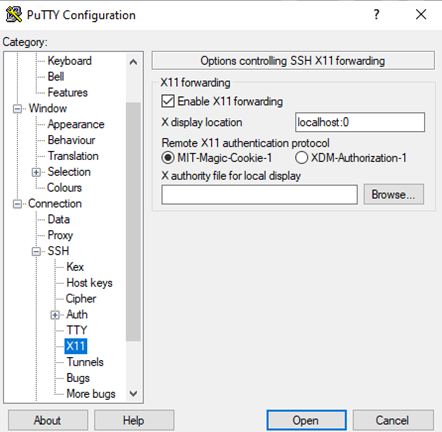 Enable X11 forwarding